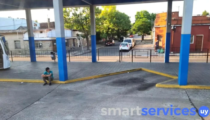 Terminal De Omnibus San Carlos -  Videos - San Carlos