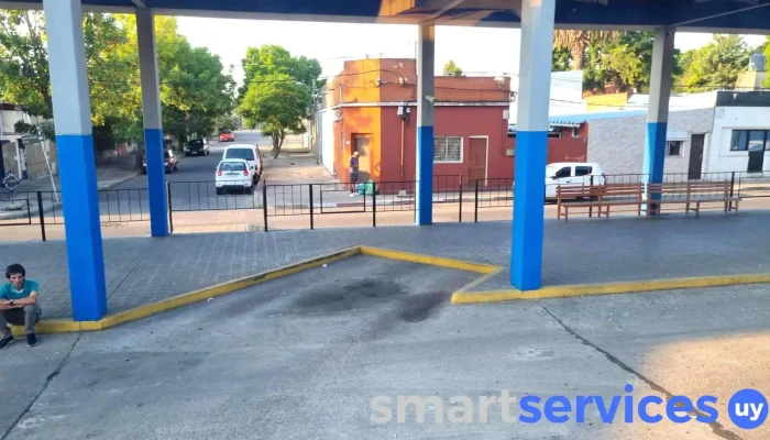 Terminal San Carlos -  Videos - San Carlos