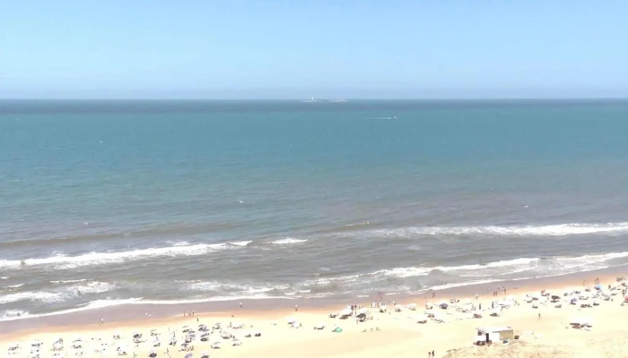 Torrelobos - Punta Del Este