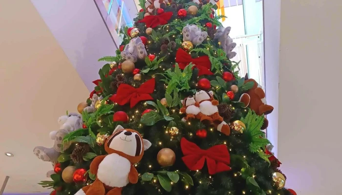 Tres Cruces Shopping -  Puntaje - Montevideo