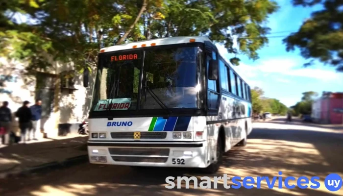 Turismar -    Agencia San Ramon Barcelona Bus Turistic - San Ramón