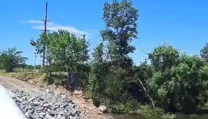 Ucot Inter Agencia San Ramon Videos - San Ramón