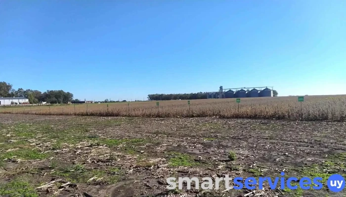 Unión Rural De Flores C.a.r.l. - 85000 Trinidad