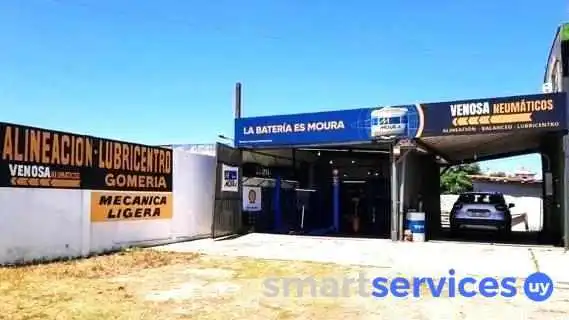 Venosa Neumaticos Exterior - Las Toscas