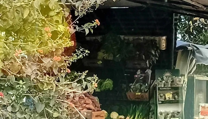 Verduleria y fruteria Los hermanos - 15800 Ciudad De La Costa