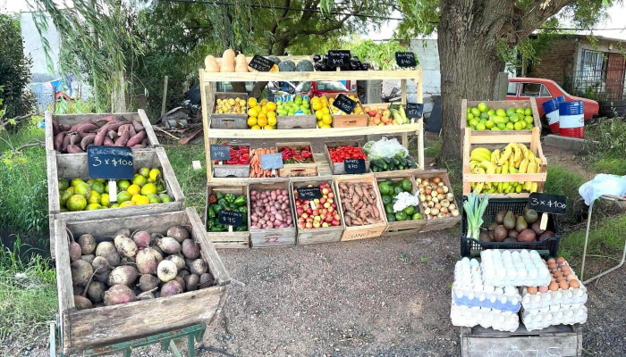 Verduleria y Frutería Milagros - Regino Ovelar