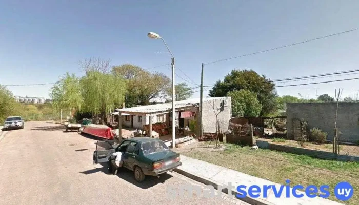 Viejo Peralta (beto) - 70700 Nueva Palmira