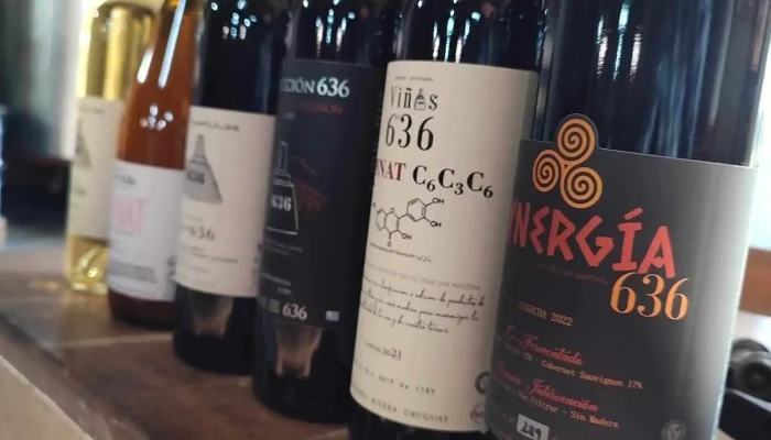 Viñas del 636 - 40000 Rivera