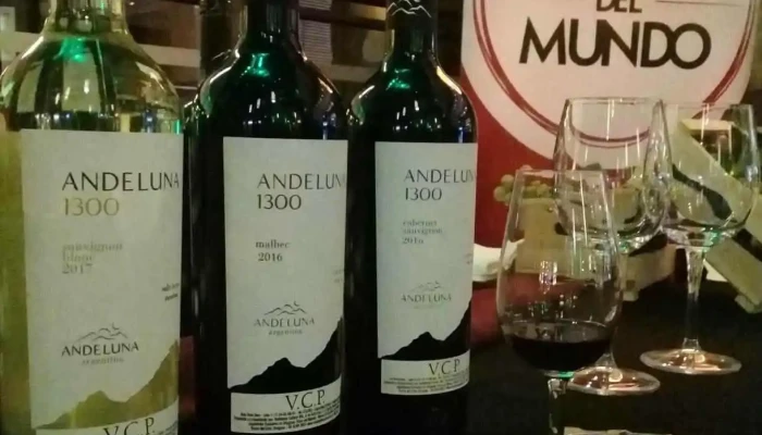 Vinos Del Mundo - 11100 Montevideo