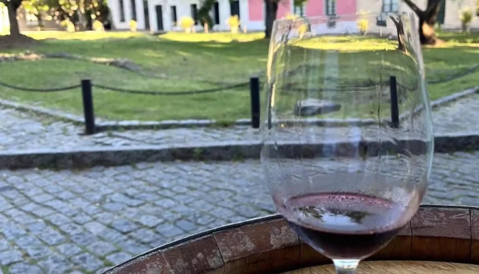 Vinos Del Mundo - Colonia - Colonia Del Sacramento