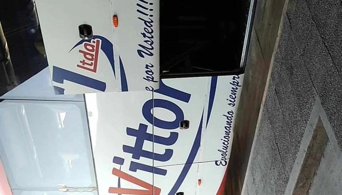 Vittori Ltda Promocion - Young