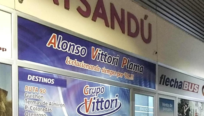 Vittori Ltda Telefono - Young