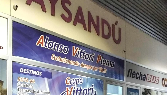 Vittori Ltda. - Young