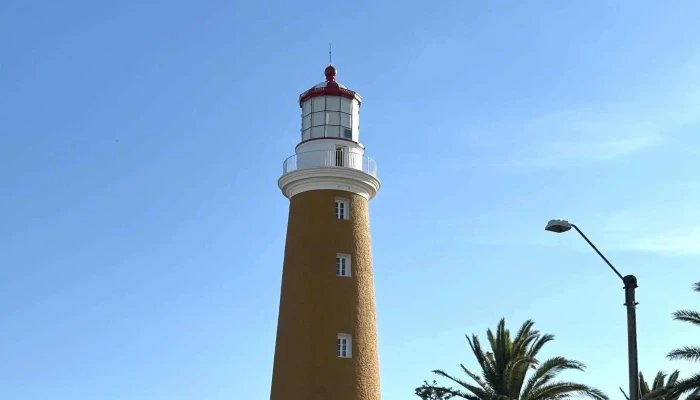 We Walk Free Tour -  Instagram - Punta del Este