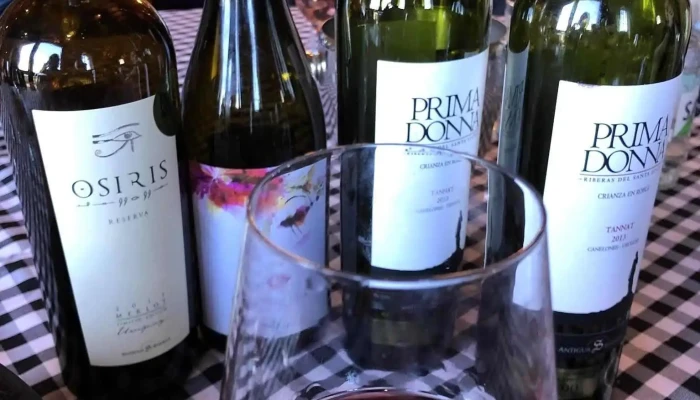 Wine Explorers Uruguay - Uruguay