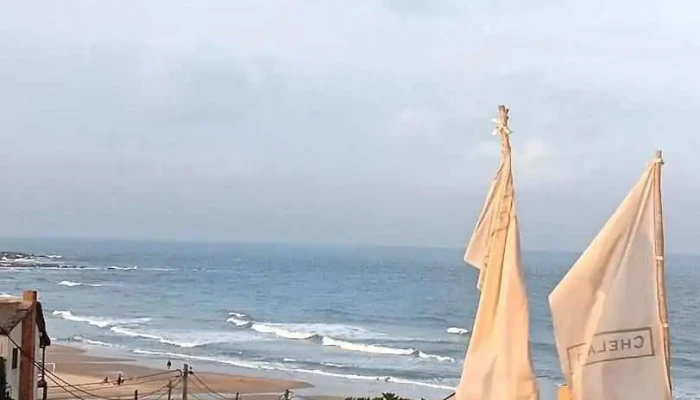 www.URUBUS.com.uy - Punta Del Este