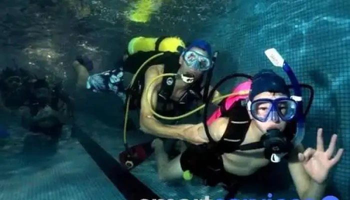 Yobuceo   Escuela De Buceo Padi En Montevideo   Viajes Clases Y Cursos De Buceo Del Propietario - Montevideo
