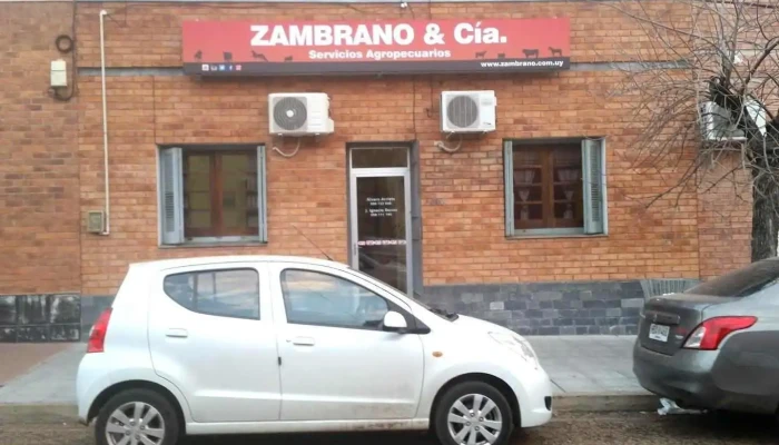 Zambrano & Cia. - Agencia Salto - Salto